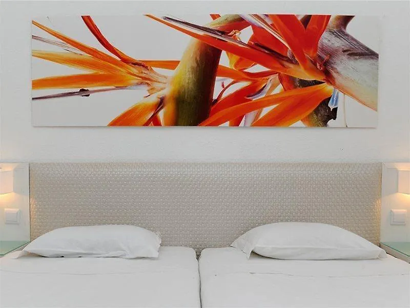 Dorisol Estrelicia Hotel Funchal  Portugal